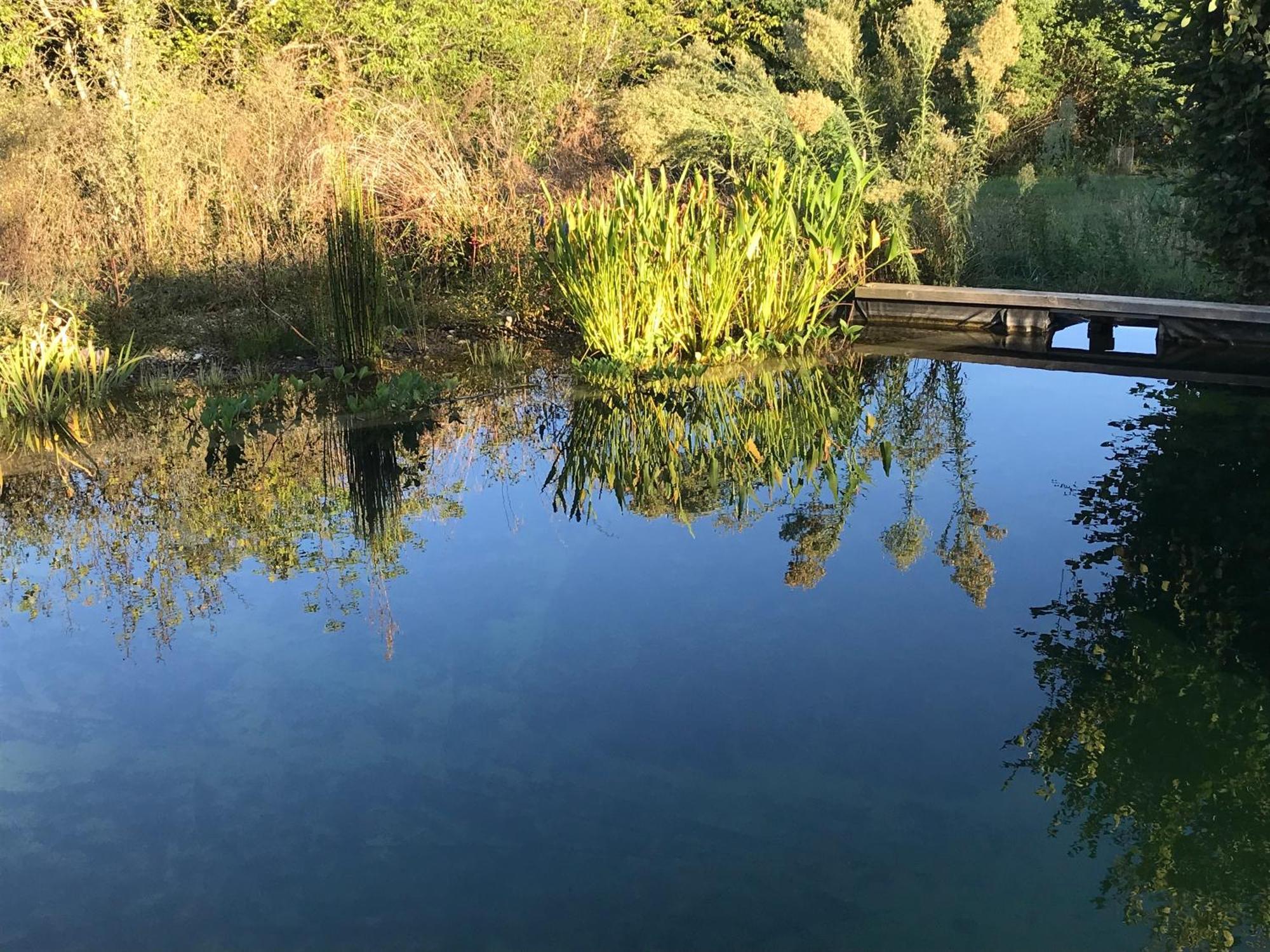 Ecolieu Le Chant Du Temps Bed & Breakfast Saint-Usuge Dış mekan fotoğraf